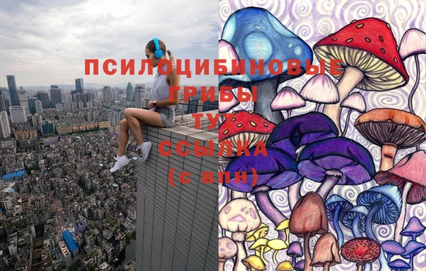 амфетамин Заволжск