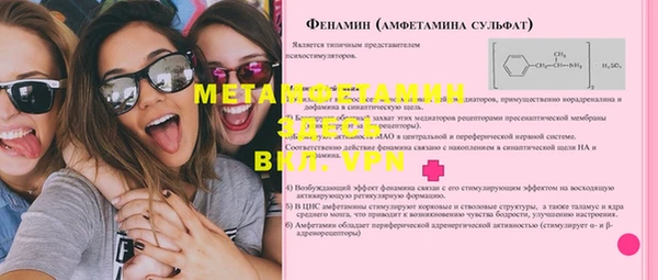 шишки Заволжье