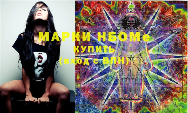 шишки Заволжье