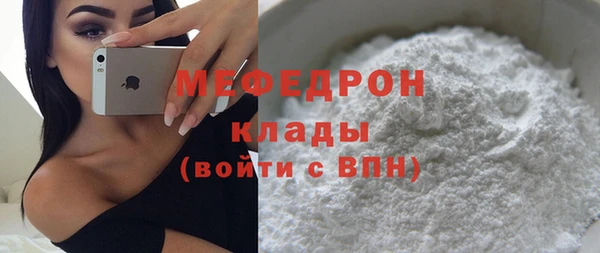шишки Заволжье