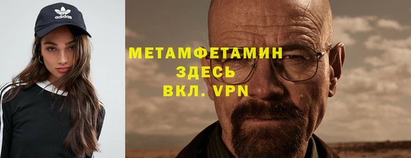 шишки Заволжье