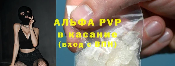 шишки Заволжье
