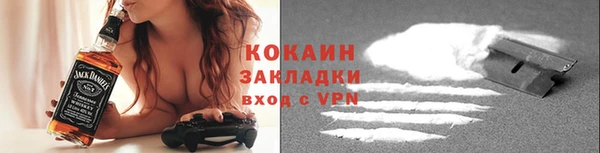 шишки Заволжье