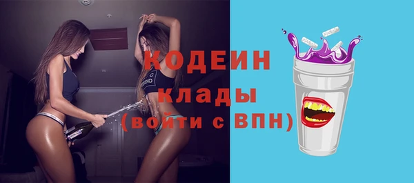 шишки Заволжье