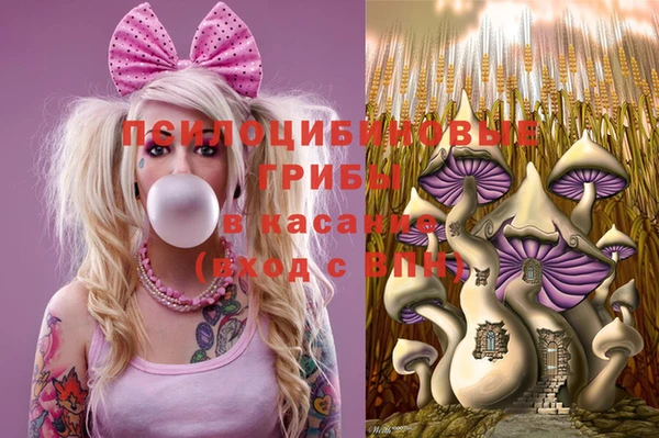 шишки Заволжье