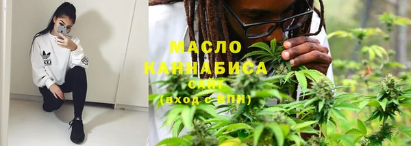шишки Заволжье