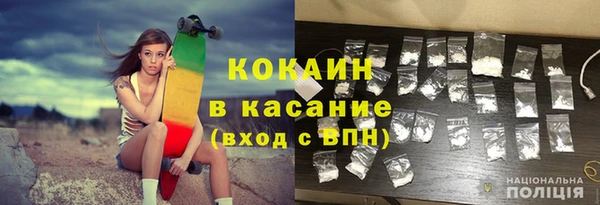 шишки Заволжье
