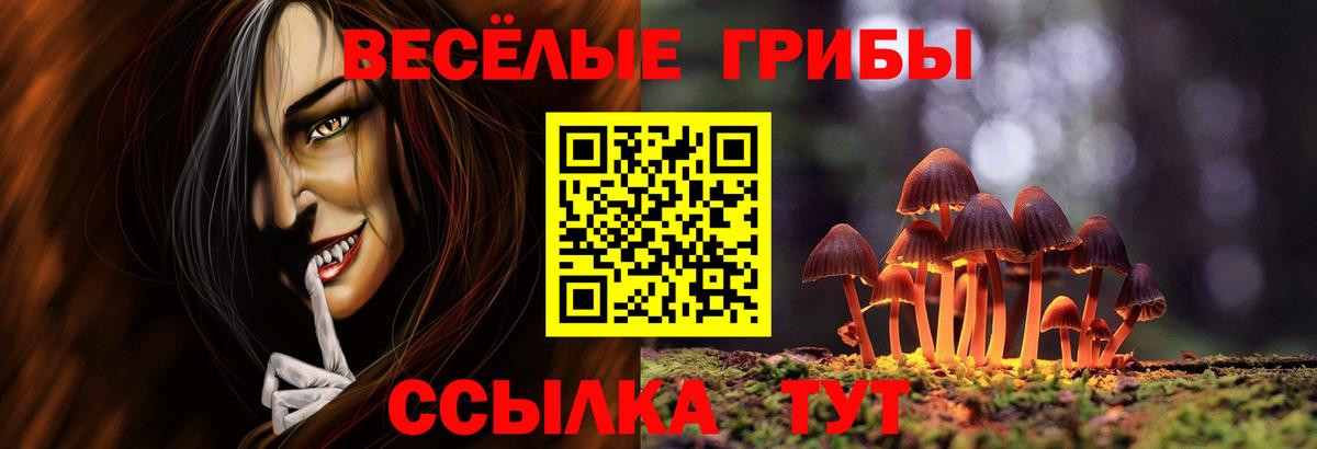 Псилоцибиновые грибы мицелий Зеленодольск